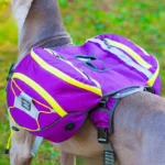 Dog Supplies Accessories Are For Dogs Self Carrying Large Dog Backpacks Portable Pet Dog Backpacks Towing Ropes For Outdoor Use - Image 2