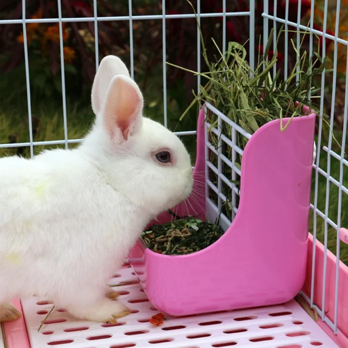 Rabbit Feeder 2-1 Rabbit Food Hay Feeder for Small Pet Guinea Guinea Pigs Hamster Small Animals Feeder Bowls Pet Supplies - Image 1