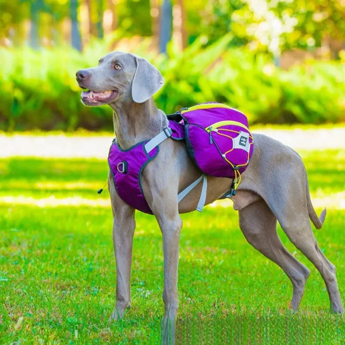 Dog Supplies Accessories Are For Dogs Self Carrying Large Dog Backpacks Portable Pet Dog Backpacks Towing Ropes For Outdoor Use - Image 1